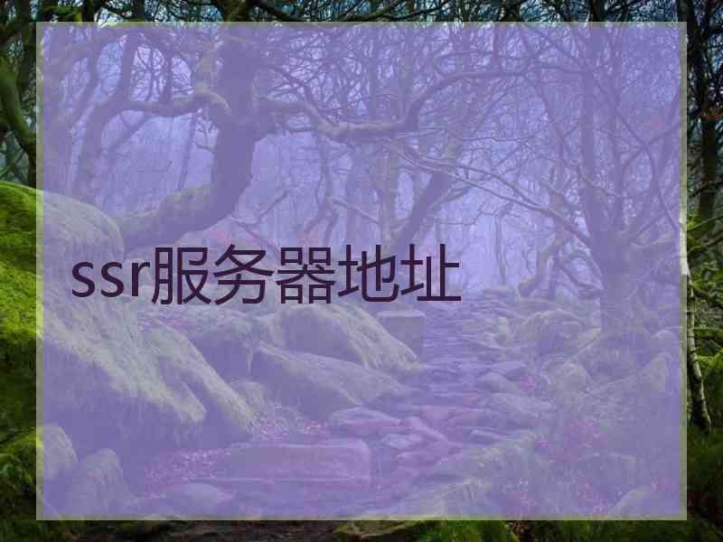 ssr服务器地址