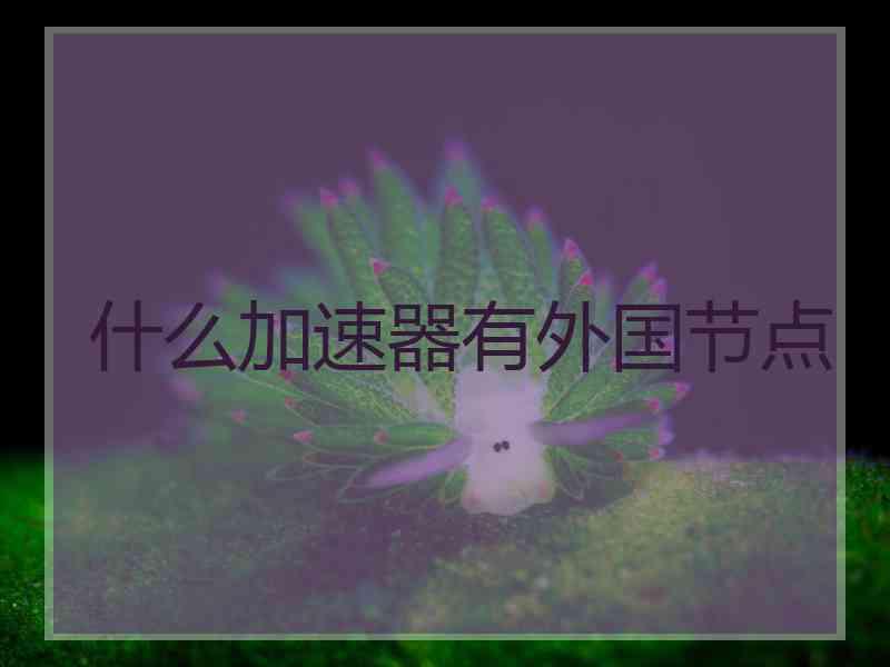 什么加速器有外国节点