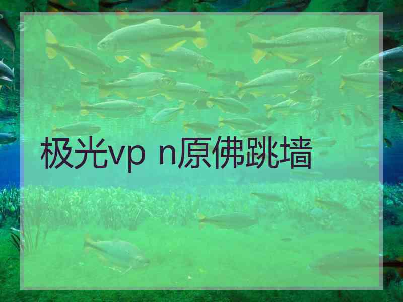 极光vp n原佛跳墙