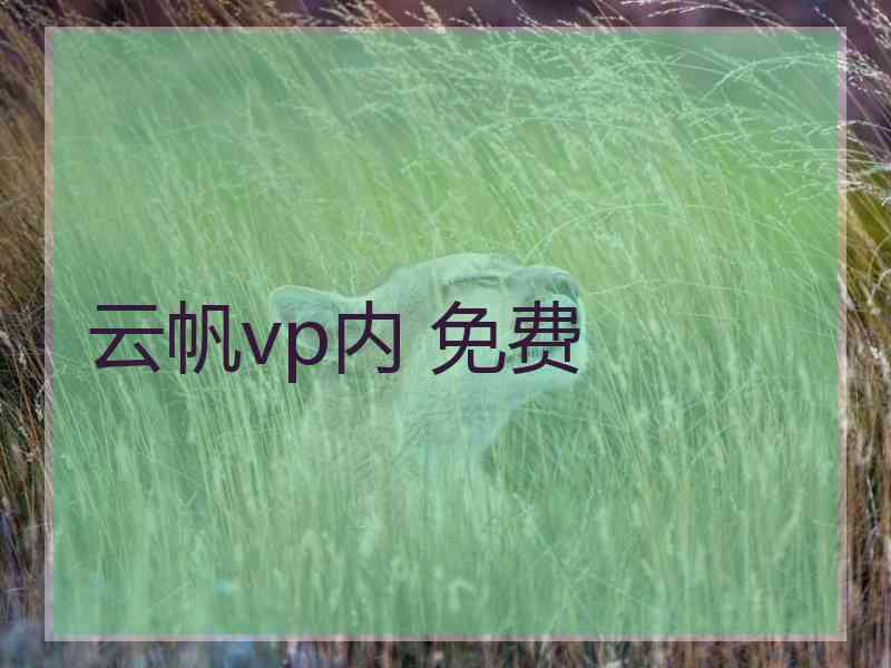 云帆vp内 免费