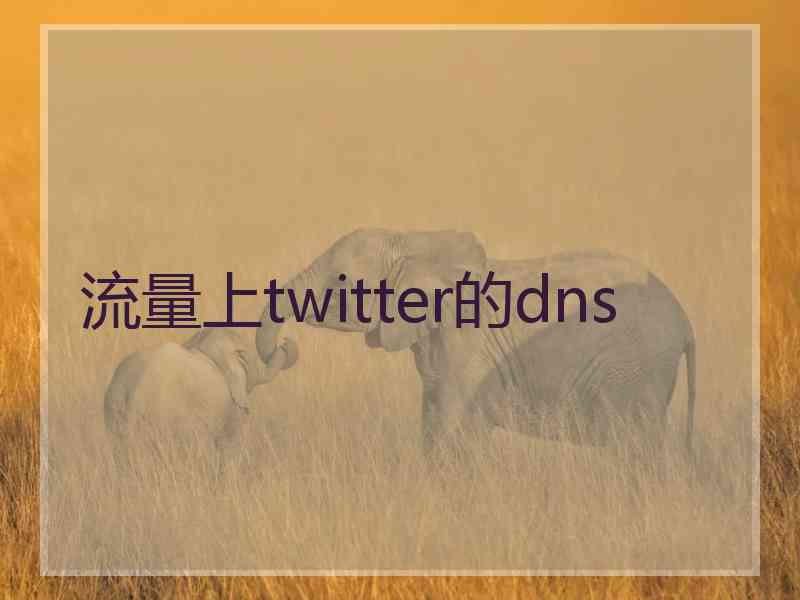 流量上twitter的dns