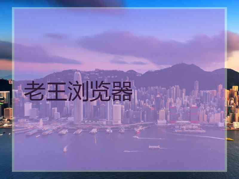老王浏览器