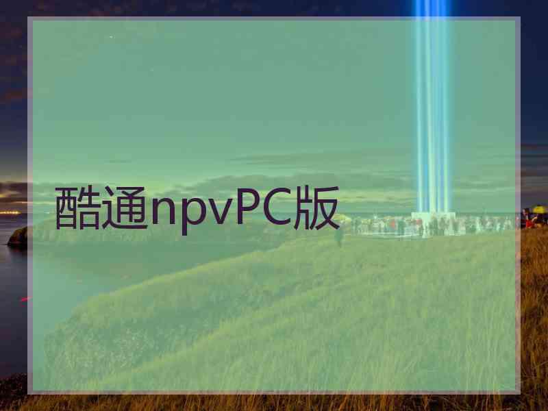 酷通npvPC版