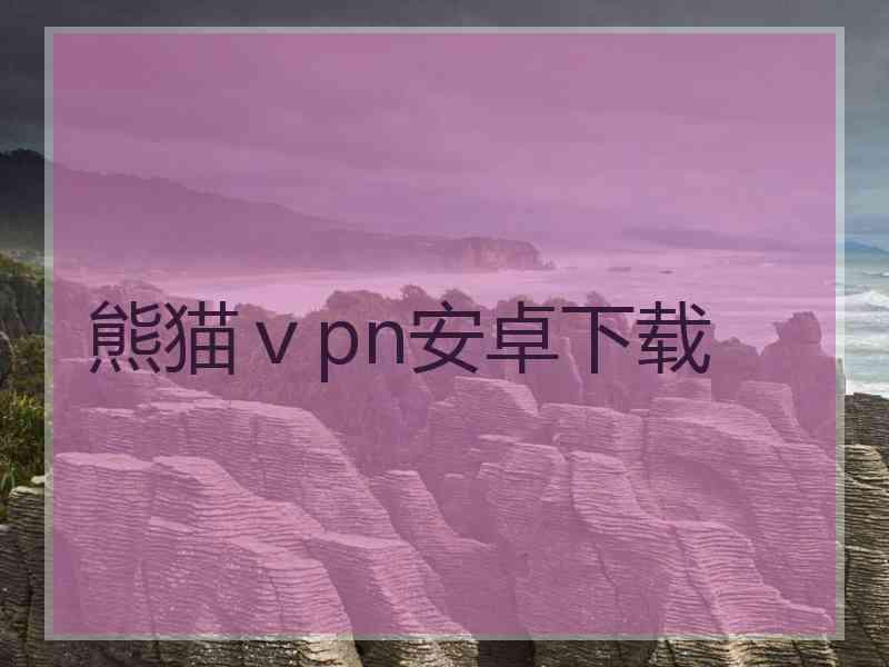熊猫ⅴpn安卓下载
