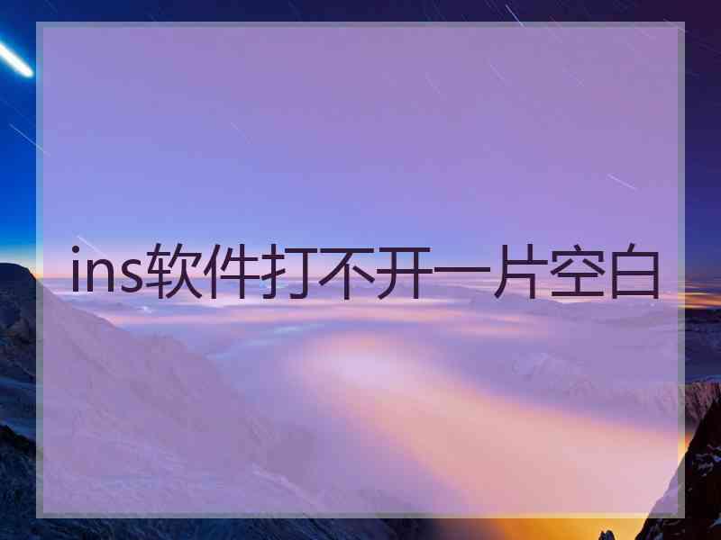 ins软件打不开一片空白