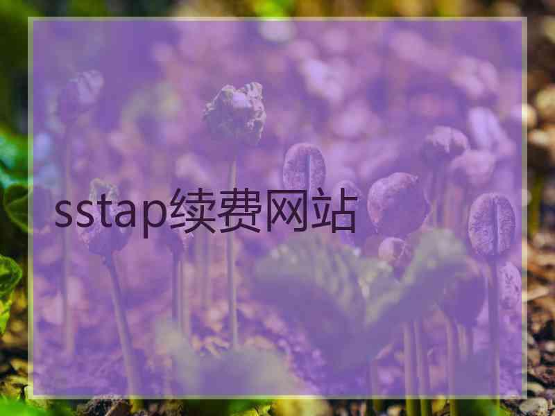 sstap续费网站