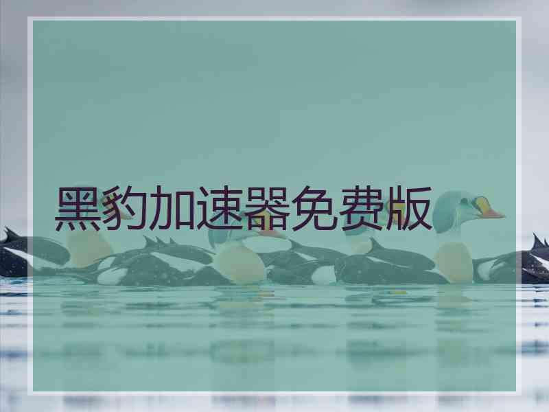 黑豹加速器免费版
