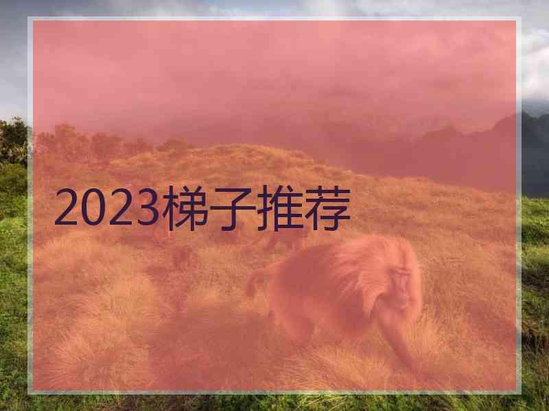2023梯子推荐