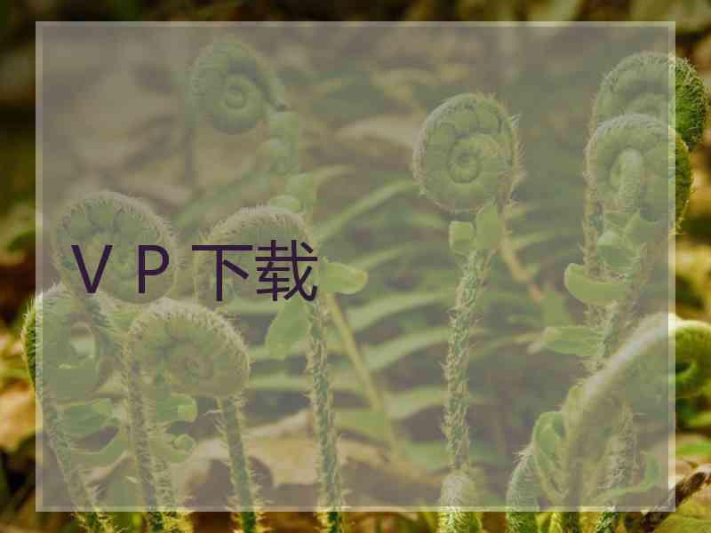V P 下载