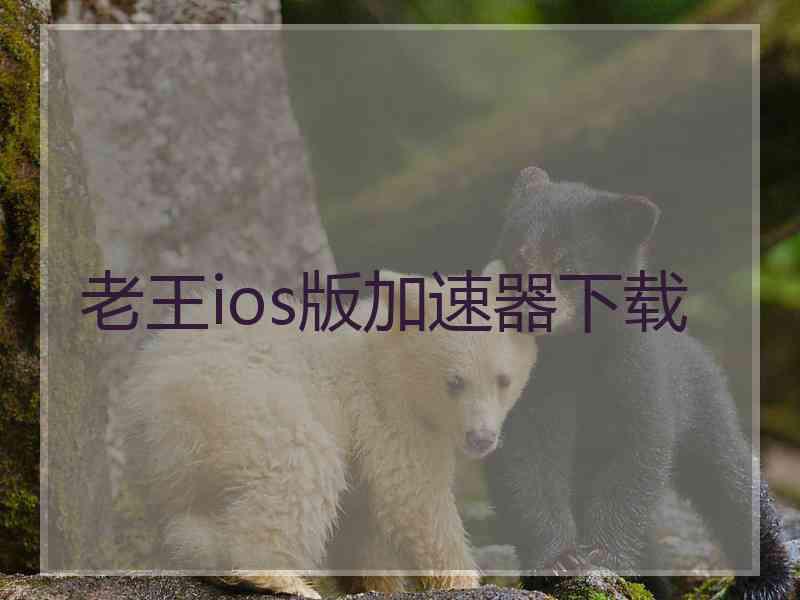 老王ios版加速器下载
