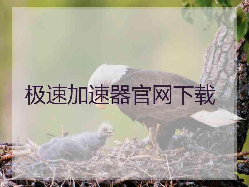 极速加速器官网下载