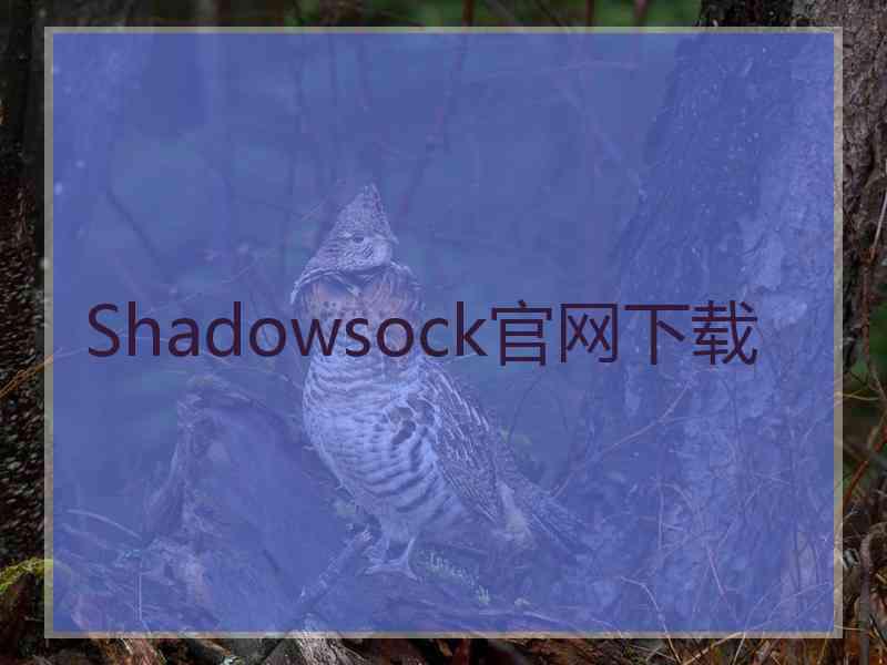 Shadowsock官网下载