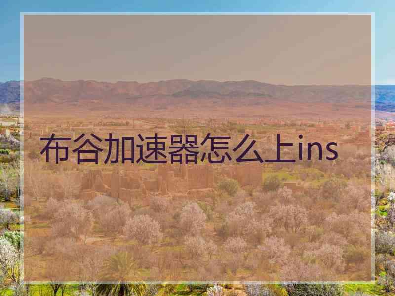 布谷加速器怎么上ins