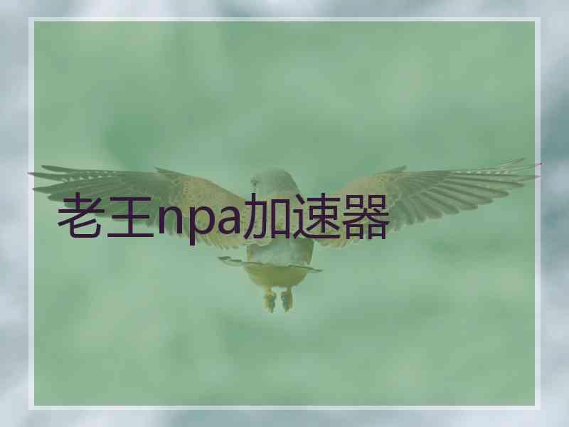 老王npa加速器