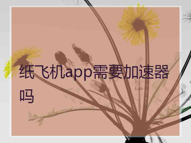 纸飞机app需要加速器吗