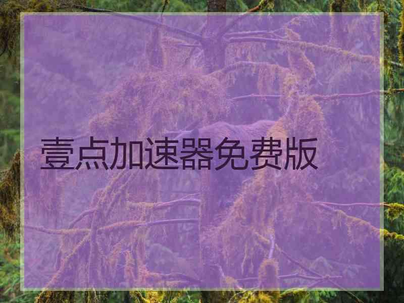 壹点加速器免费版