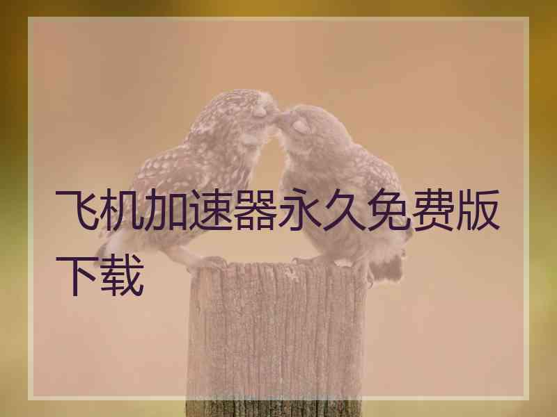 飞机加速器永久免费版下载
