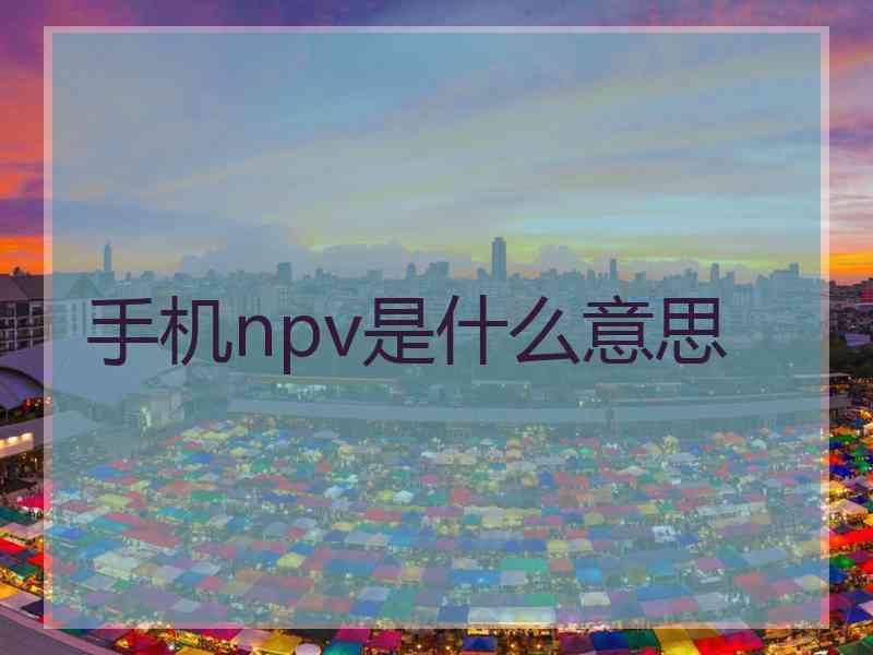 手机npv是什么意思