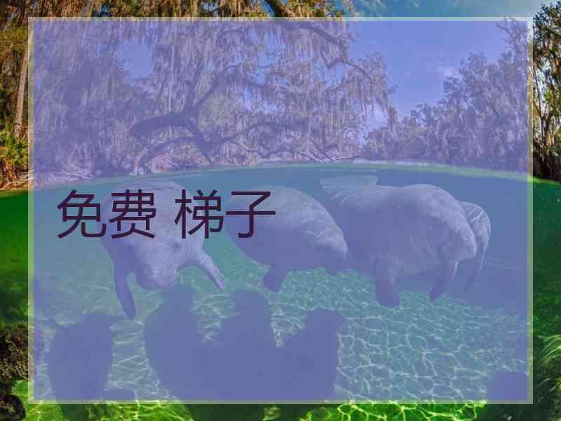 免费 梯子