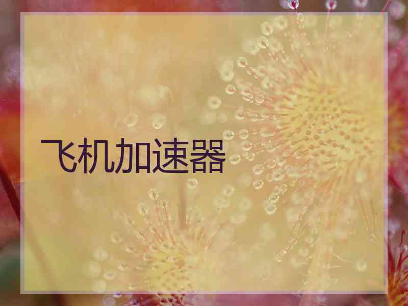 飞机加速器