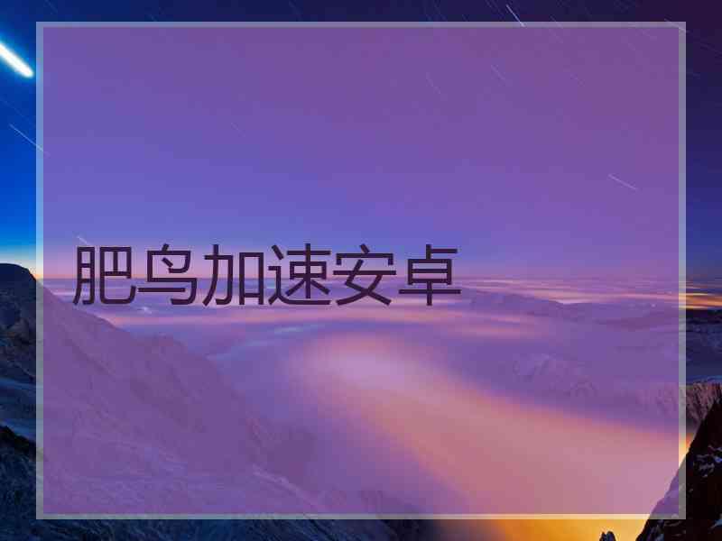 肥鸟加速安卓