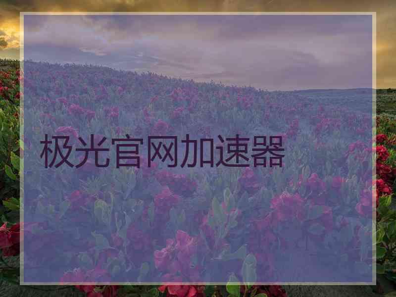 极光官网加速器