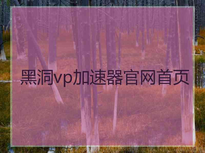 黑洞vp加速器官网首页