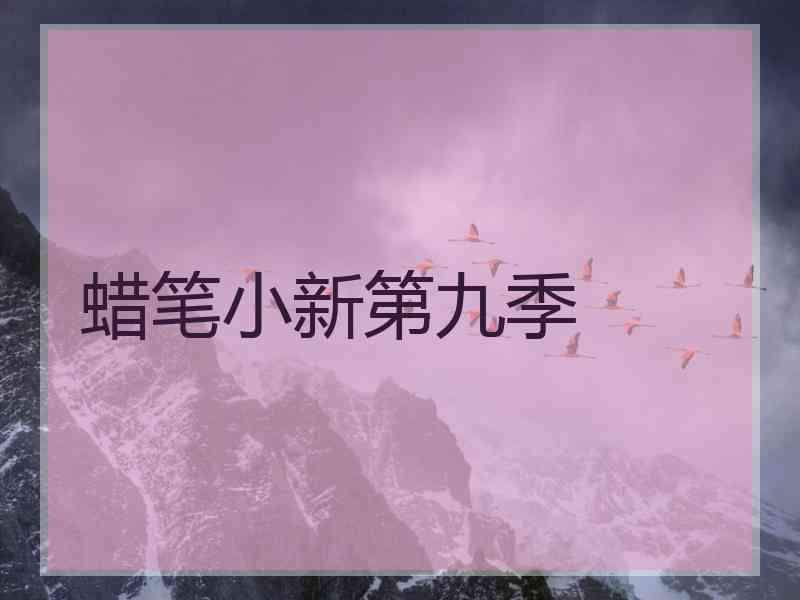 蜡笔小新第九季
