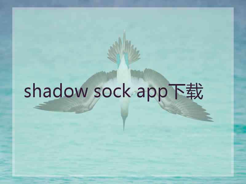 shadow sock app下载