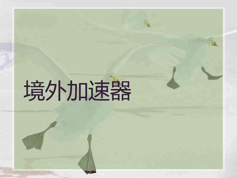 境外加速器