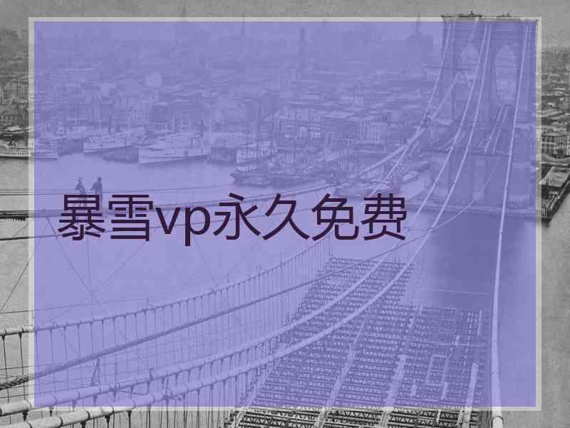 暴雪vp永久免费