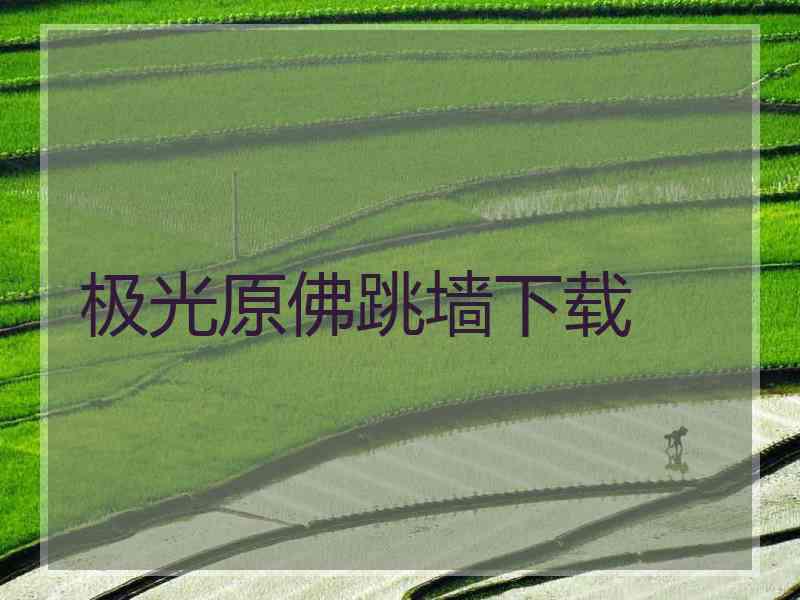 极光原佛跳墙下载