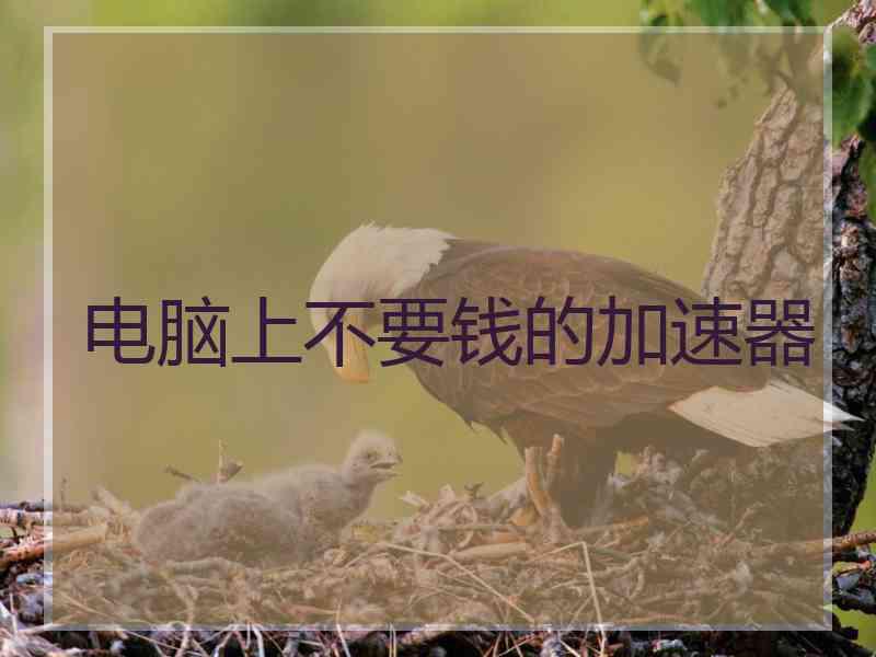 电脑上不要钱的加速器