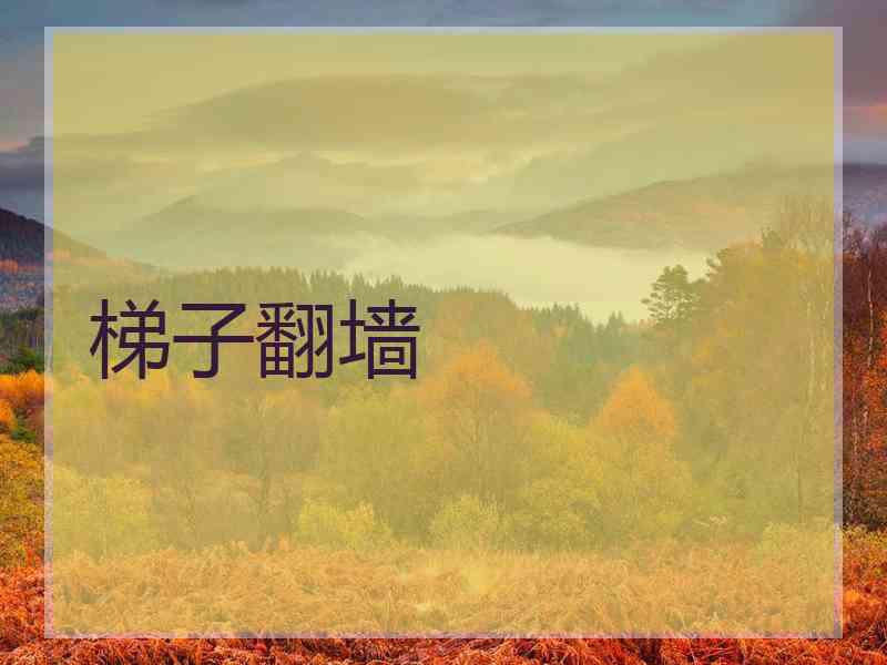 梯子翻墙