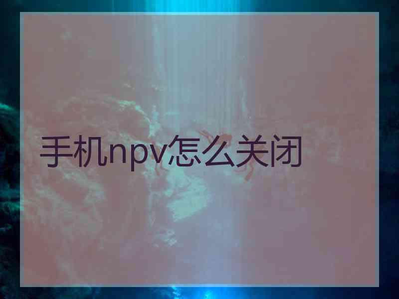 手机npv怎么关闭