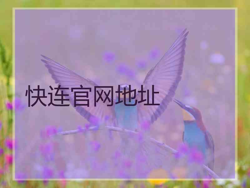 快连官网地址
