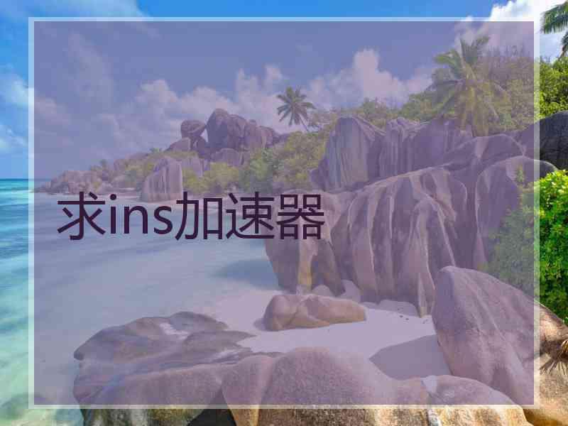 求ins加速器