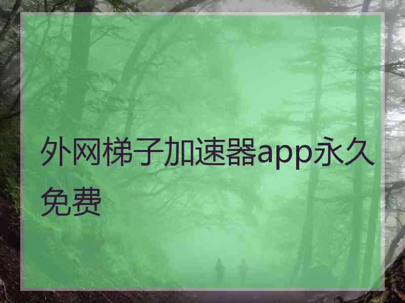 外网梯子加速器app永久免费