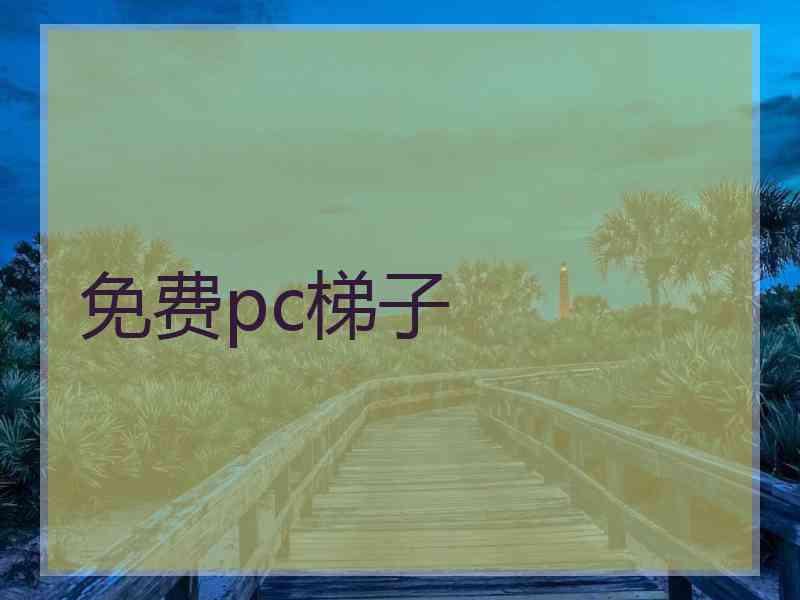 免费pc梯子