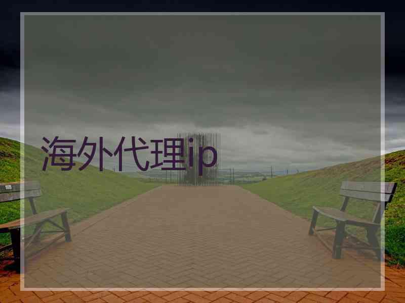 海外代理ip