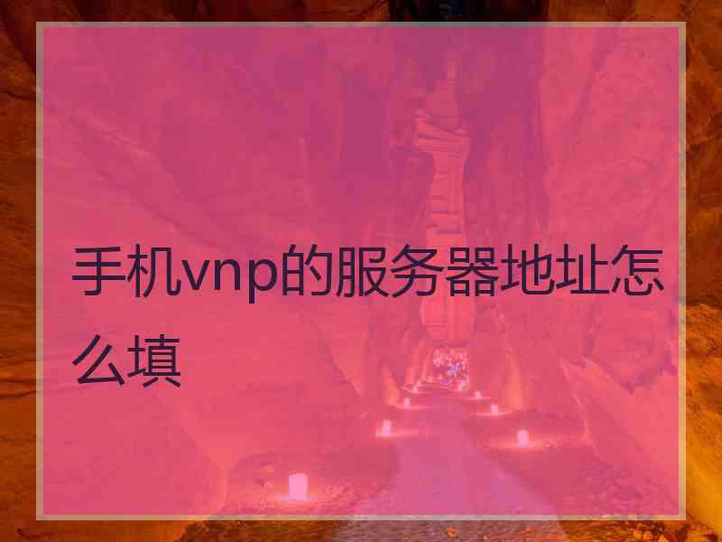 手机vnp的服务器地址怎么填