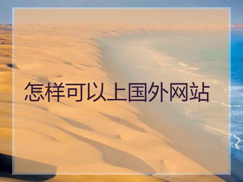 怎样可以上国外网站