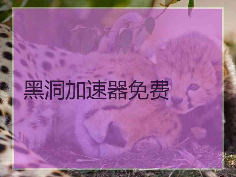 黑洞加速器免费