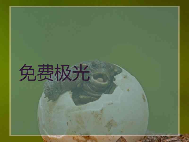 免费极光