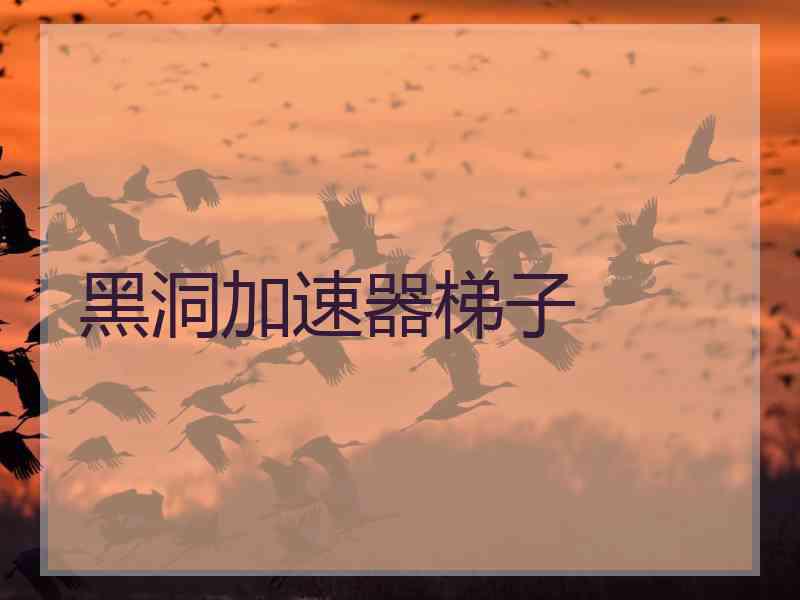 黑洞加速器梯子