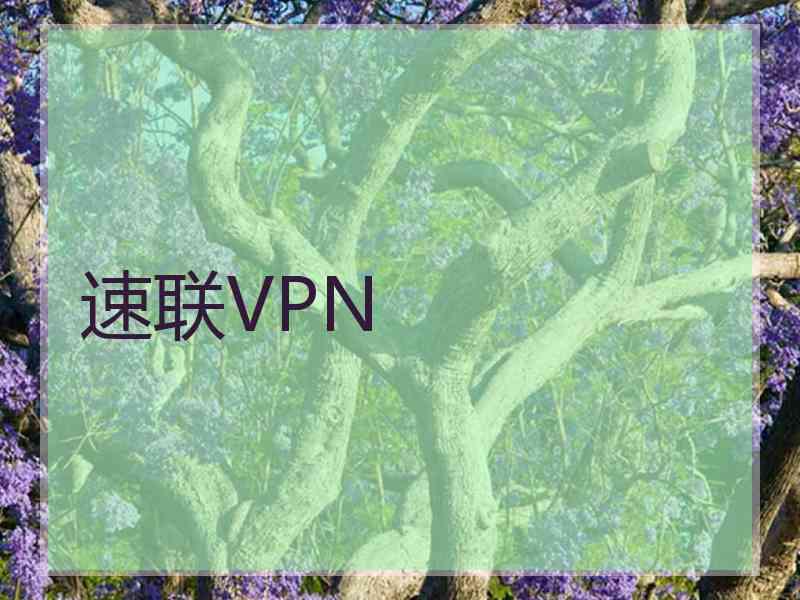 速联VPN
