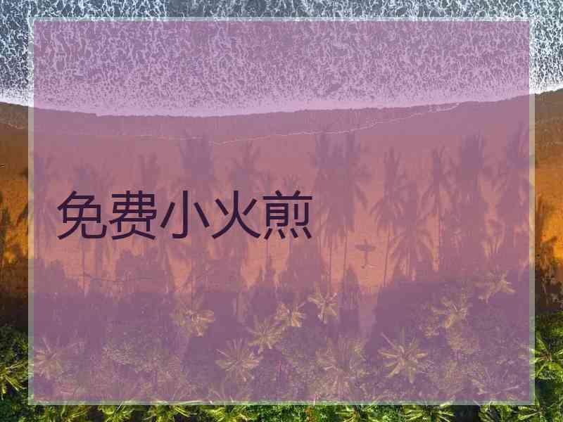 免费小火煎