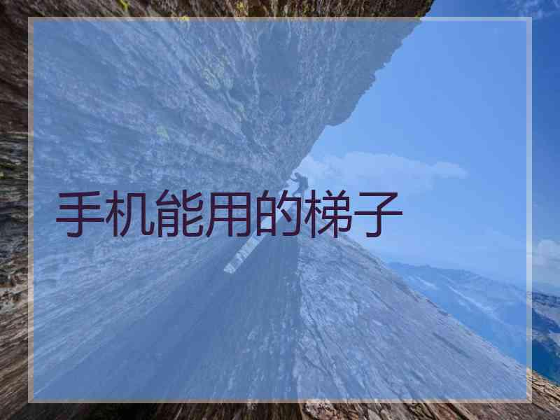 手机能用的梯子