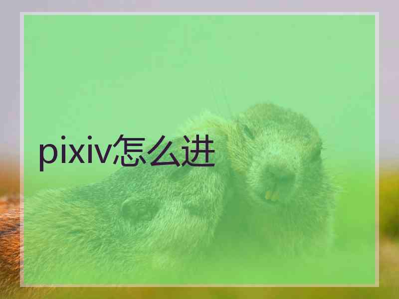pixiv怎么进
