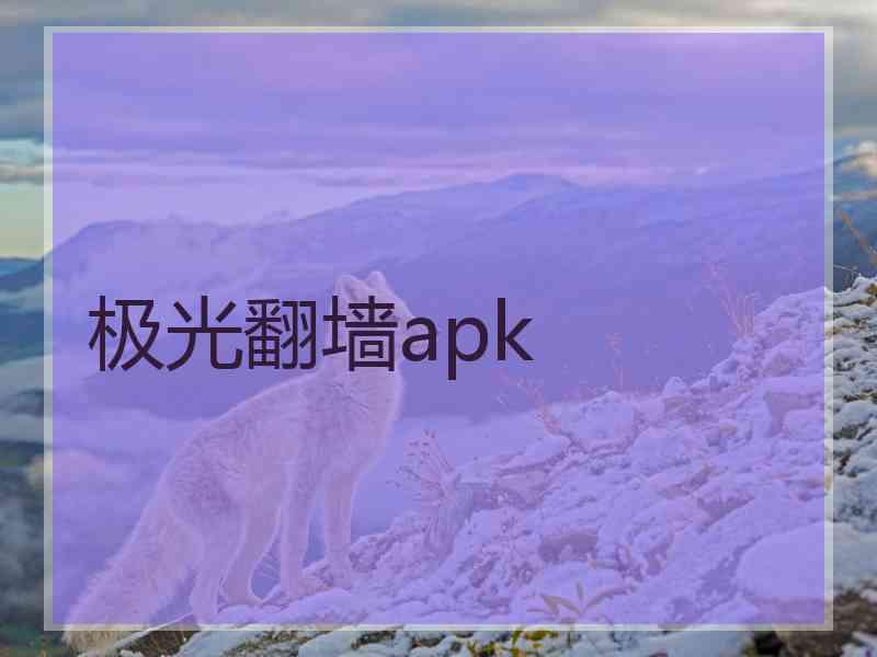 极光翻墙apk